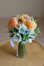 �_���A�Ə��Ԃ����Ղ�̃N���b�`�u�[�P