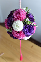 �_���A�ƃ}���̃{�[���u�[�P