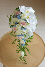 �Ӓ����̃L���X�P�[�h