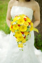 �`���C�X�I�[�o�����F�K�[�x�����C��+�I�����W