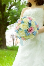 �`���C�X�u�[�P(���o��+�W�s���N+���F+���{��IN)