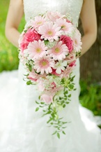 �`���C�X�L���X�P�[�h(�s���N�K�[�x��+�����ԁj