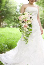 �o���ƃJ���[�̃L���X�P�[�h