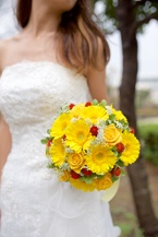 �K�[�x�����F�F�ԏ��ԃ`���C�X�u�[�P