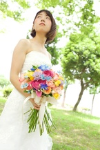 �J���t���N���b�`�u�[�P