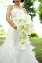 �J�T�u�����J�L���X�P�[�h