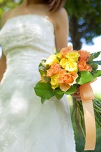 �I�����W�~���F�`���C�X�N���b�`