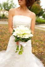 �J���[�̃m�[�u���N���b�`�u�[�P