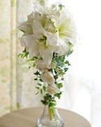 �y�V���N�z�J�T�u�����J�L���X�P�[�h