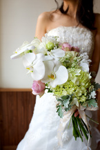 �Ӓ����̃A�[���u�[�P��