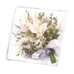 �yBLISS & HILL�zJewel / L