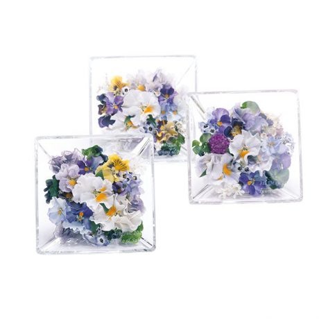 �yBLISS & HILL�zJewel / S