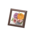 �yBLISS & HILL�zMarco / S�i�u���E���E�i�`�������j