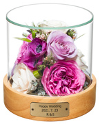 �yReine De Fleur�z�X�����u�[�P STr