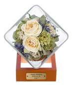 �yReine De Fleur�z�X���[���u�[�P SB