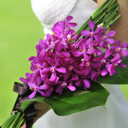 �����ɒ��ځ� ��уu�[�P