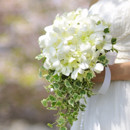 �O���[���A�����W���������āA�A���E���h�u�[�P bq0177