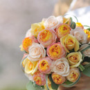 �O���[���A�����W���������āA�A���E���h�u�[�P bq0178