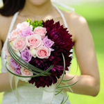 �a���ɂ������� �_���A�̃u�[�P