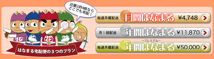 はなまる宅急便３つのプラン