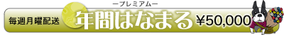年間はなまる(プレミアム)(53415円)