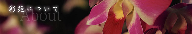 �ʉ��ɂ���